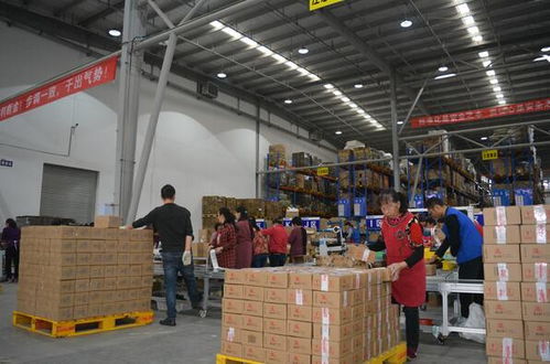 為何您的零售電商品牌亟需專業(yè)三方倉儲物流與貨物倉儲服務